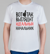 Мужская футболка Идеальный начальник