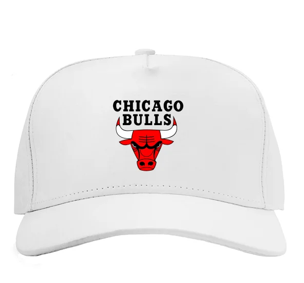 chicago-bulls.png